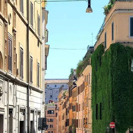 Boschetto Charme - My Extra *
